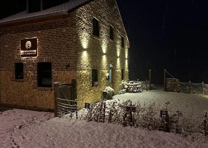 De Hoogstam